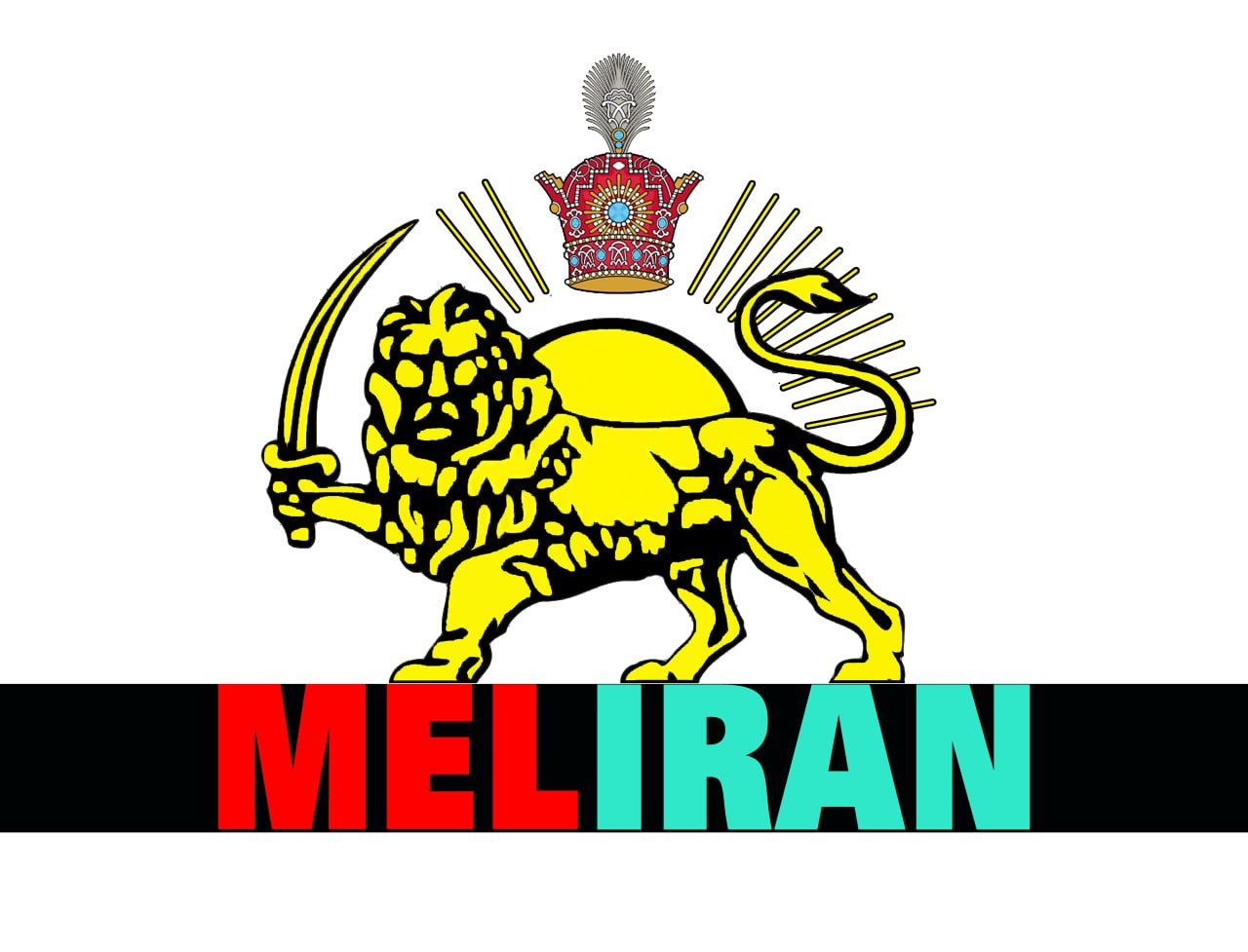 Meliran logo